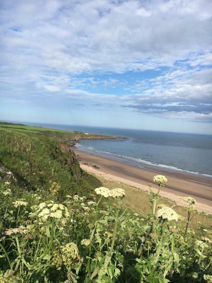 Dunnottar Woods Cottage Stonehaven Buitenkant foto